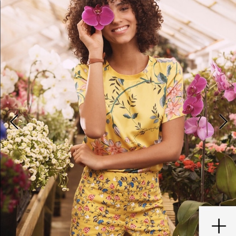 Ann Taylor Loft Rivera Short and Floral Top